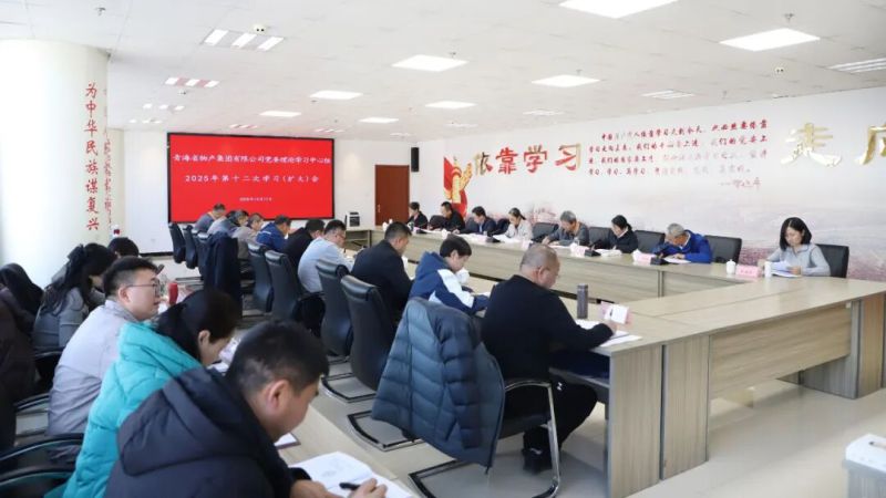 集團(tuán)黨委理論學(xué)習(xí)中心組召開2025年第十二次學(xué)習(xí)（擴大）會