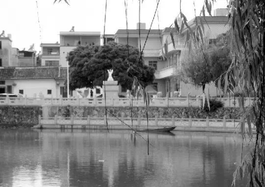 老鄉(xiāng)眼里的李河君：陌生富豪，夫人助其發(fā)財